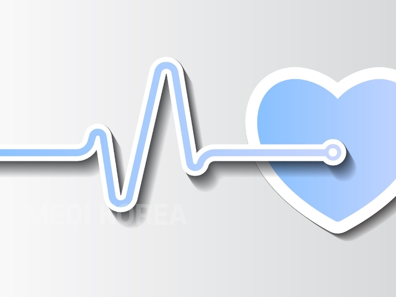 브랜드 아이덴티티